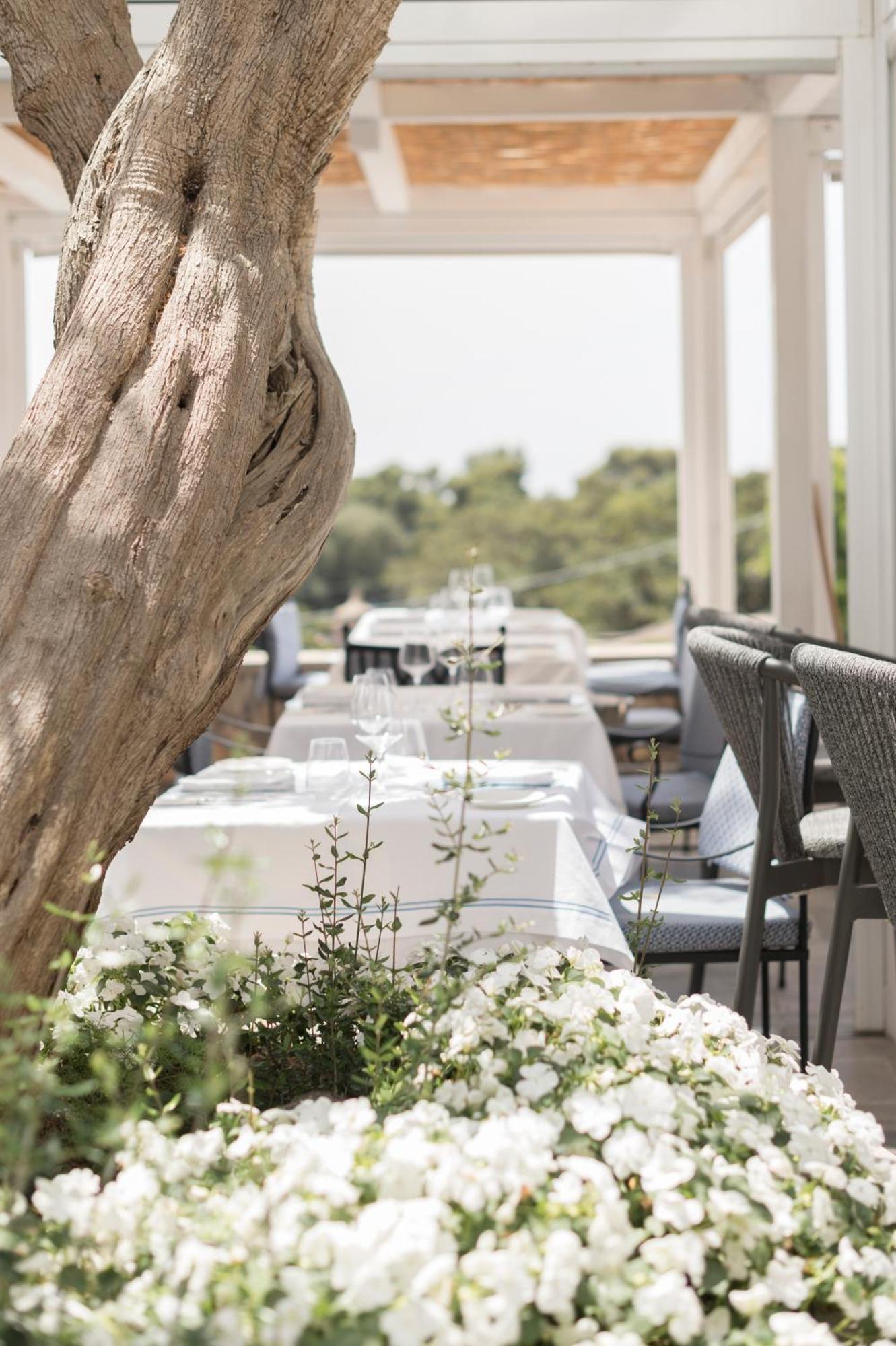 Hotel Canasta Капри Екстериор снимка